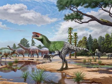 Imagen de Descubren nuevo dinosaurio a partir de fósil que estuvo 100 años en un cajón