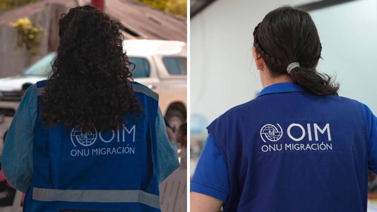 OIM anuncia vacantes en San Pedro Sula: requisitos y cómo aplicar Imagen principal de OIM anuncia vacantes en San Pedro Sula: requisitos y cómo aplicar