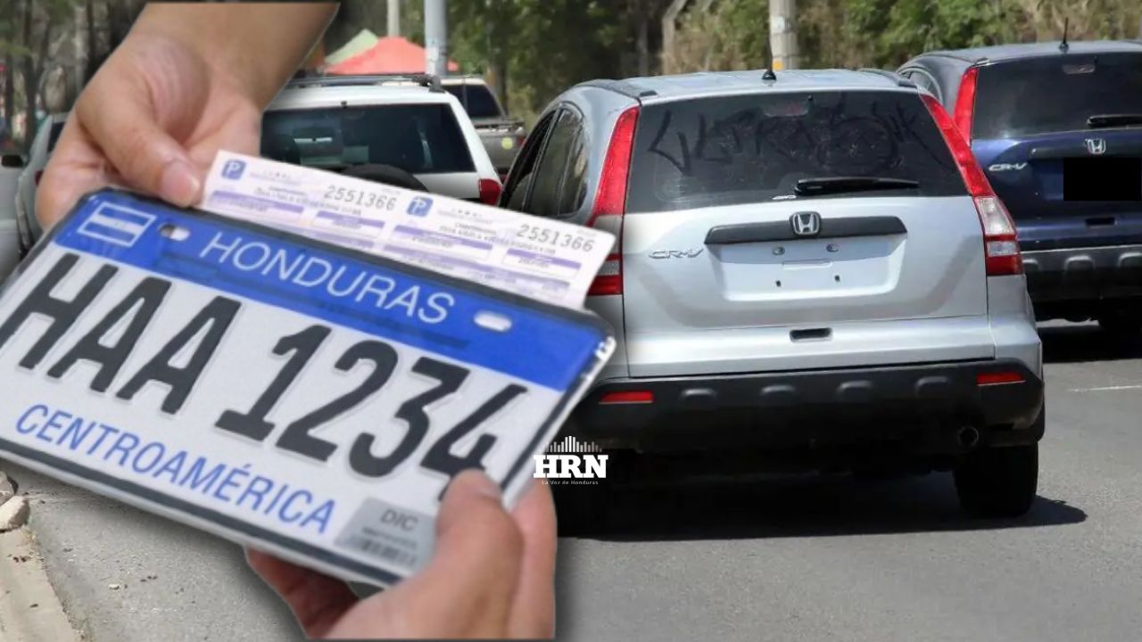 ¿Usa placas de papel? IP anuncia fecha oficial de entrega de placas vehiculares metálicas Imagen principal de ¿Usa placas de papel? IP anuncia fecha oficial de entrega de placas vehiculares metálicas