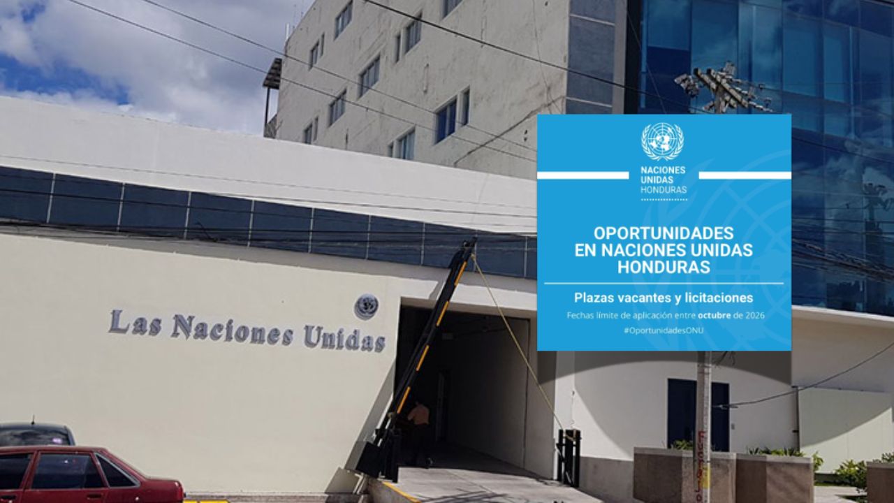 Plazas de trabajo en ONU Honduras: requisitos y cómo aplicar a las vacantes Imagen principal de Plazas de trabajo en ONU Honduras: requisitos y cómo aplicar a las vacantes