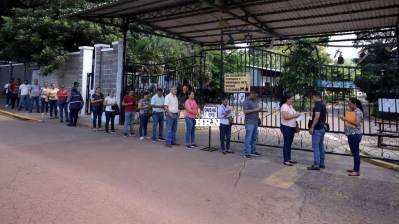 ¿Buscas empleo? STSS ofrece más de 50 plazas de trabajo este viernes en Tegucigalpa Imagen principal de ¿Buscas empleo? STSS ofrece más de 50 plazas de trabajo este viernes en Tegucigalpa