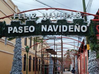 Imagen de Alcaldía contratará a 25 personas para trabajos del Paseo Navideño: quiénes aplican