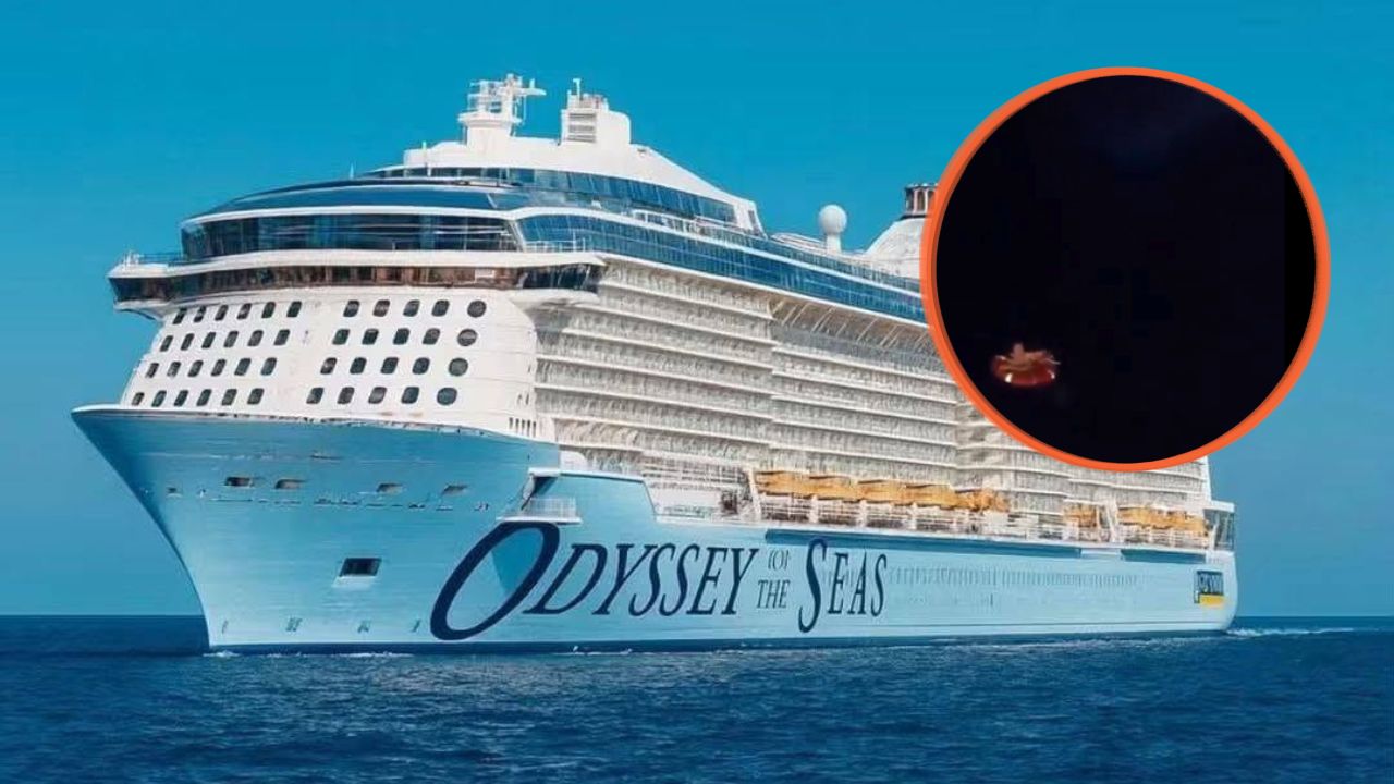 Turista salvadoreña sobrevive 24 horas en el mar tras caer de un crucero Imagen principal de Turista salvadoreña sobrevive 24 horas en el mar tras caer de un crucero