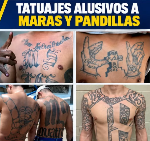Tatuajes alusivos a maras y pandillas en Honduras