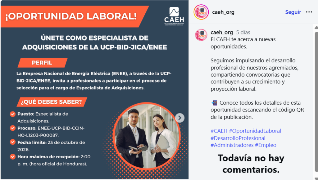 Captura de pantalla de la publicación