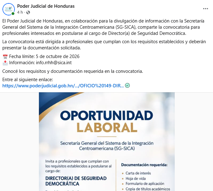 Captura de pantalla de la publicación